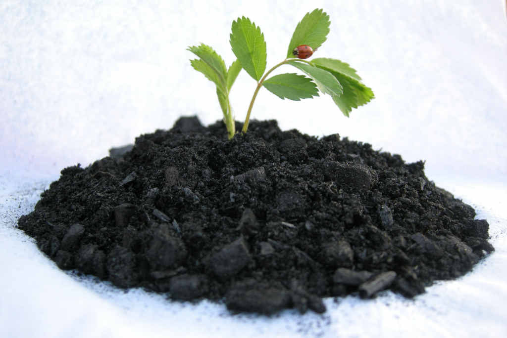 A development application has been lodged for Ballina's world-first biochar plant. A development application has been lodged for Ballina's world-first biochar plant.
